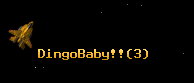 DingoBaby!!