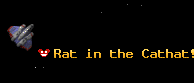Rat in the Cathat!