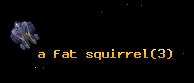 a fat squirrel