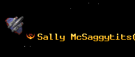 Sally McSaggytits