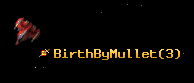 BirthByMullet