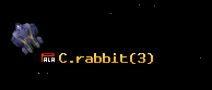 C.rabbit
