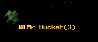Mr Bucket