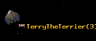 TerryTheTerrier