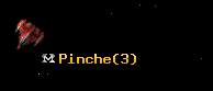 Pinche