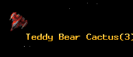 Teddy Bear Cactus