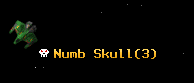 Numb Skull