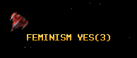 FEMINISM YES
