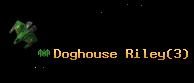 Doghouse Riley