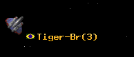 Tiger-Br