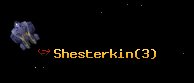 Shesterkin