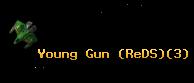 Young Gun (ReDS)