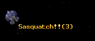 Sasquatch!!