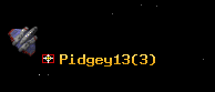 Pidgey13