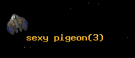 sexy pigeon