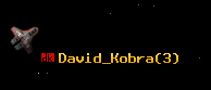 David_Kobra