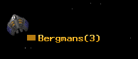 Bergmans