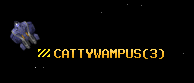 CATTYWAMPUS
