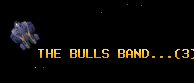 THE BULLS BAND...