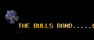 THE BULLS BAND.....