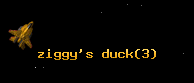 ziggy's duck