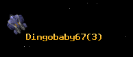 Dingobaby67