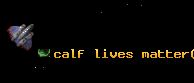 calf lives matter