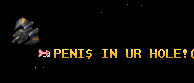 PENI$ IN UR HOLE!