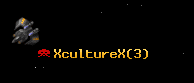 XcultureX