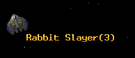 Rabbit Slayer