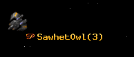 SawhetOwl