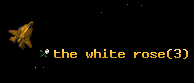the white rose